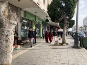 A view on Avenue des Forces Armees Royales