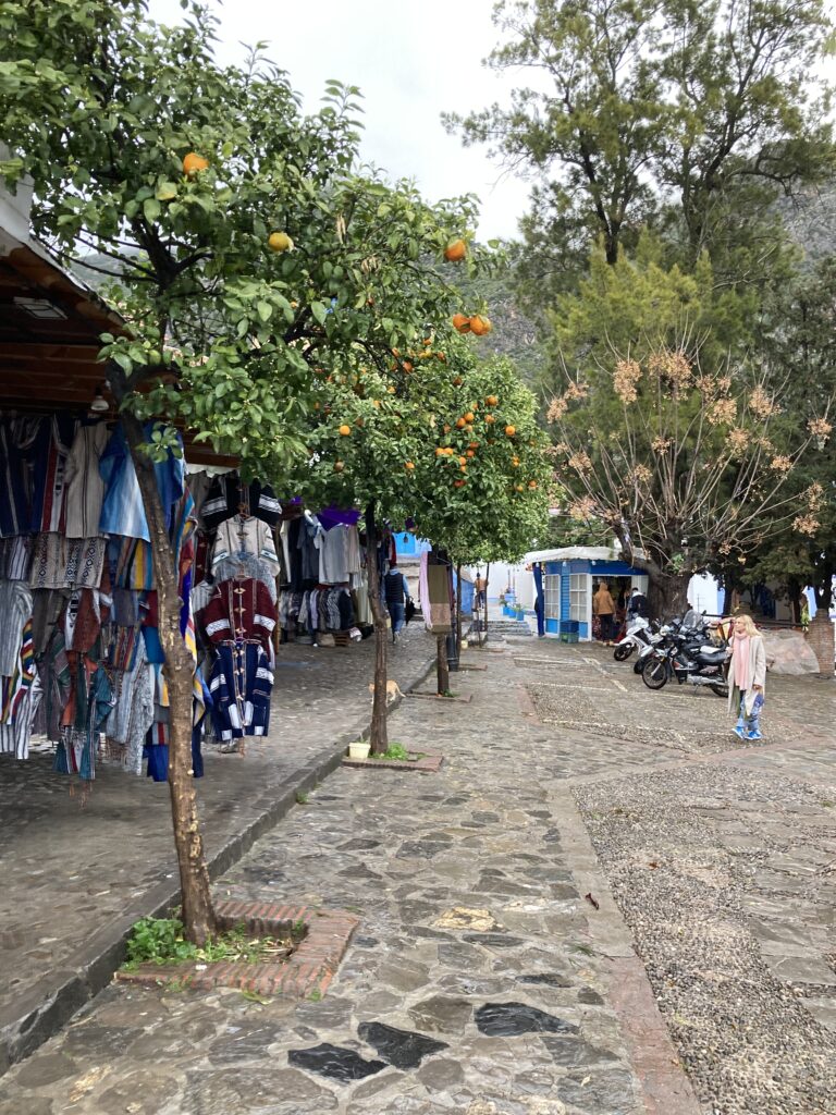 A view of some of the ubiquitous orange trees in the old medina in Chefchaouen. I saw orange trees wherever I went in Morocco and it was common to see fallen oranges on the ground.