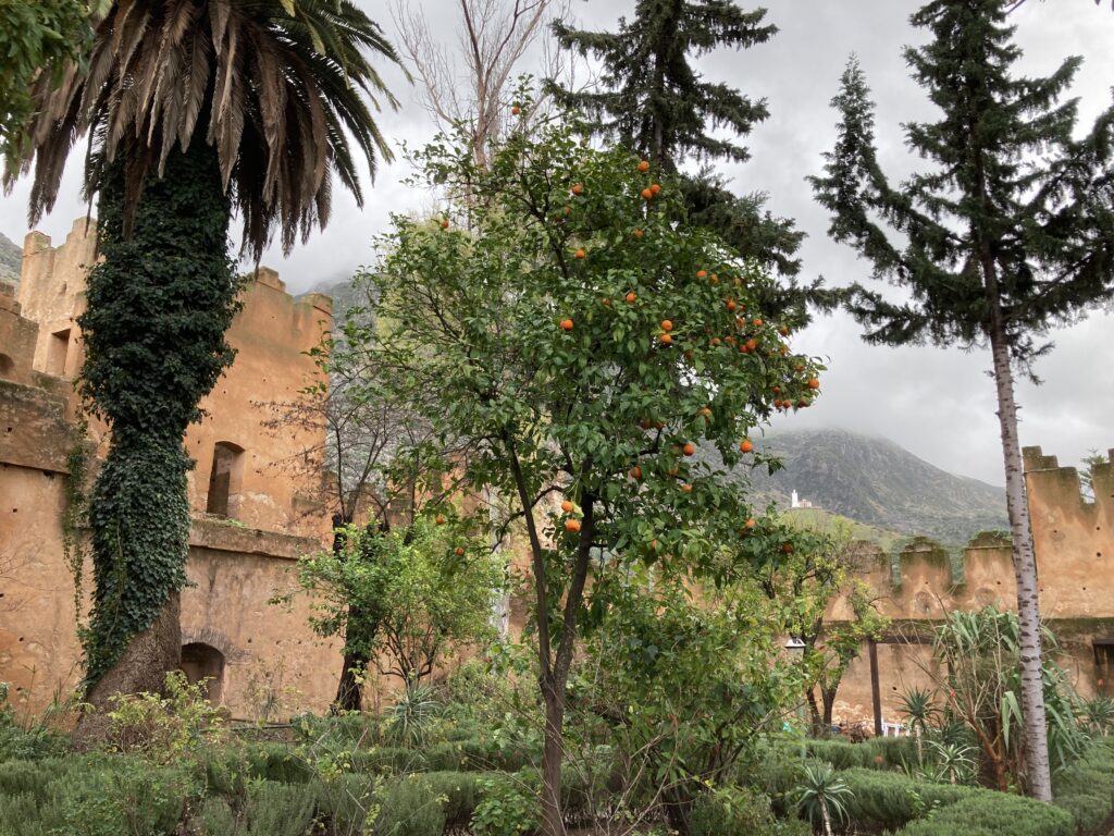 A view of the courtyard inside the Kasbah in Chefchaouen