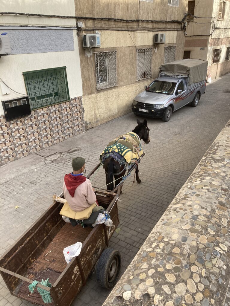 A view near Avenue des Almohades in Fes.