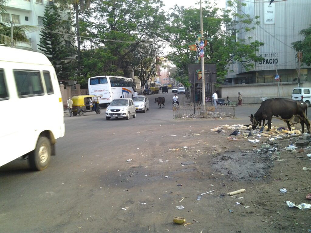 A view in Bengaluru taken on February 6, 2013