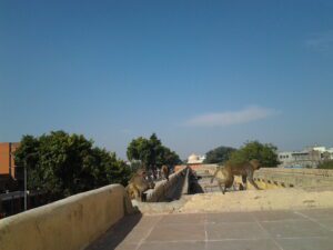 A view of Rhesus Macaque monkeys at the Isarlet Sargasooli landmark in Jaipur