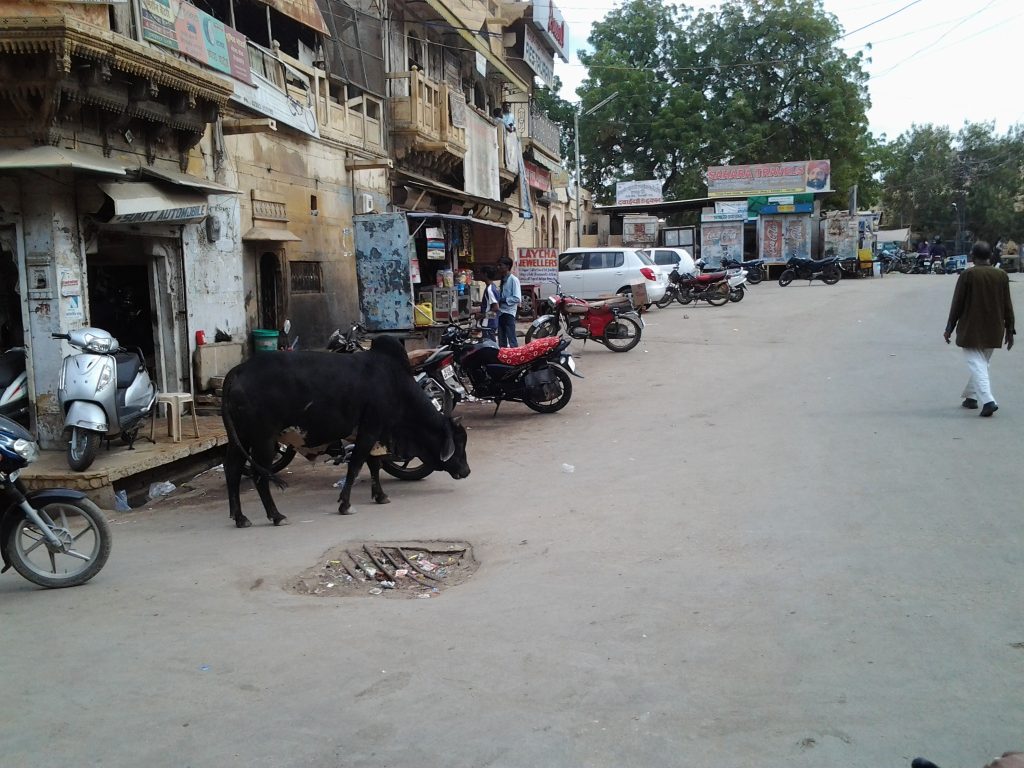 A scene in Jaisalmer, Rajasthan taken February 2013.