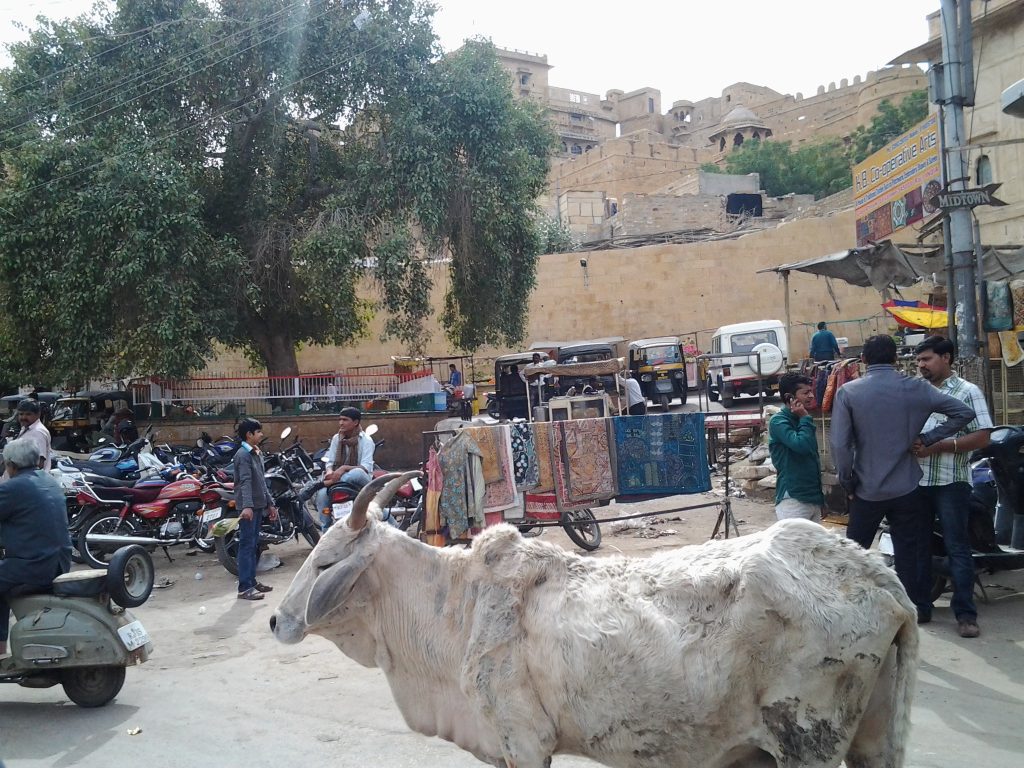 A scene in Jaisalmer, Rajasthan taken February 2013.