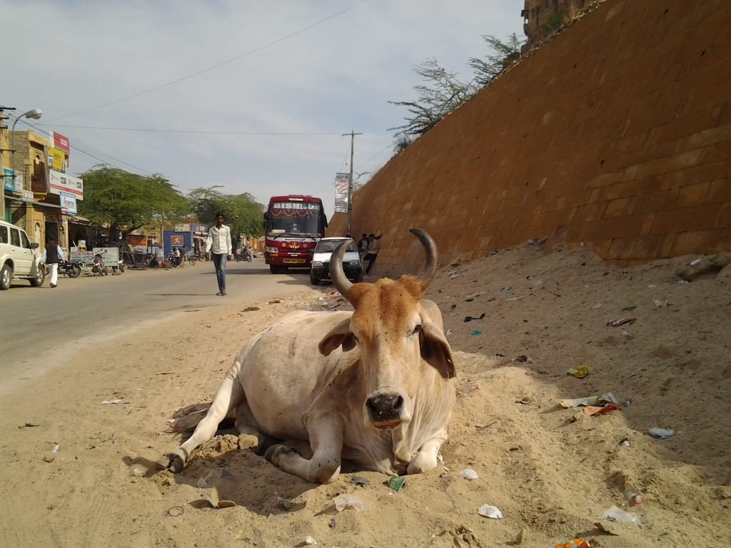 A scene in Jaisalmer, Rajasthan taken February 2013.