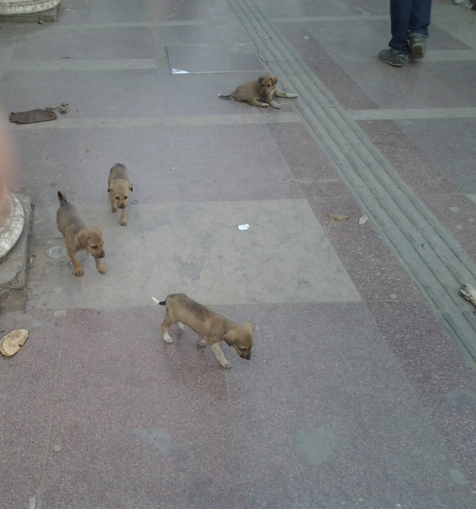 A view at Connaught Place (Rajiv Chowk)