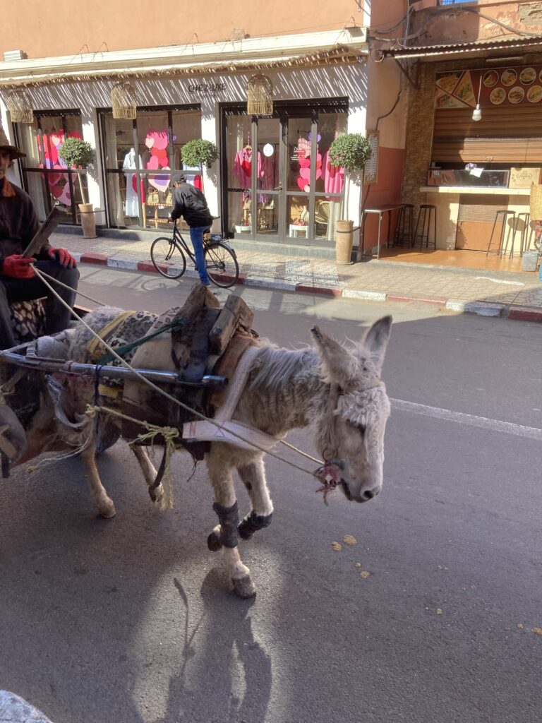 A view of a cart pulled by a donkey on Rue Riad Laarous