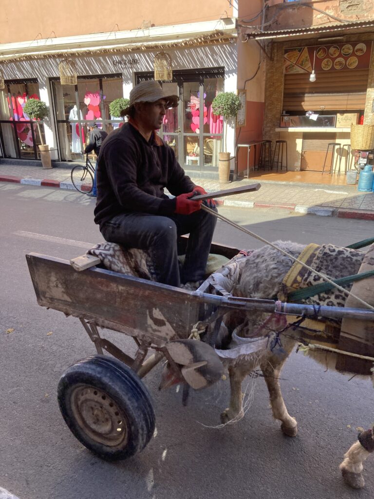 A view of a cart pulled by a donkey on Rue Riad Laarous