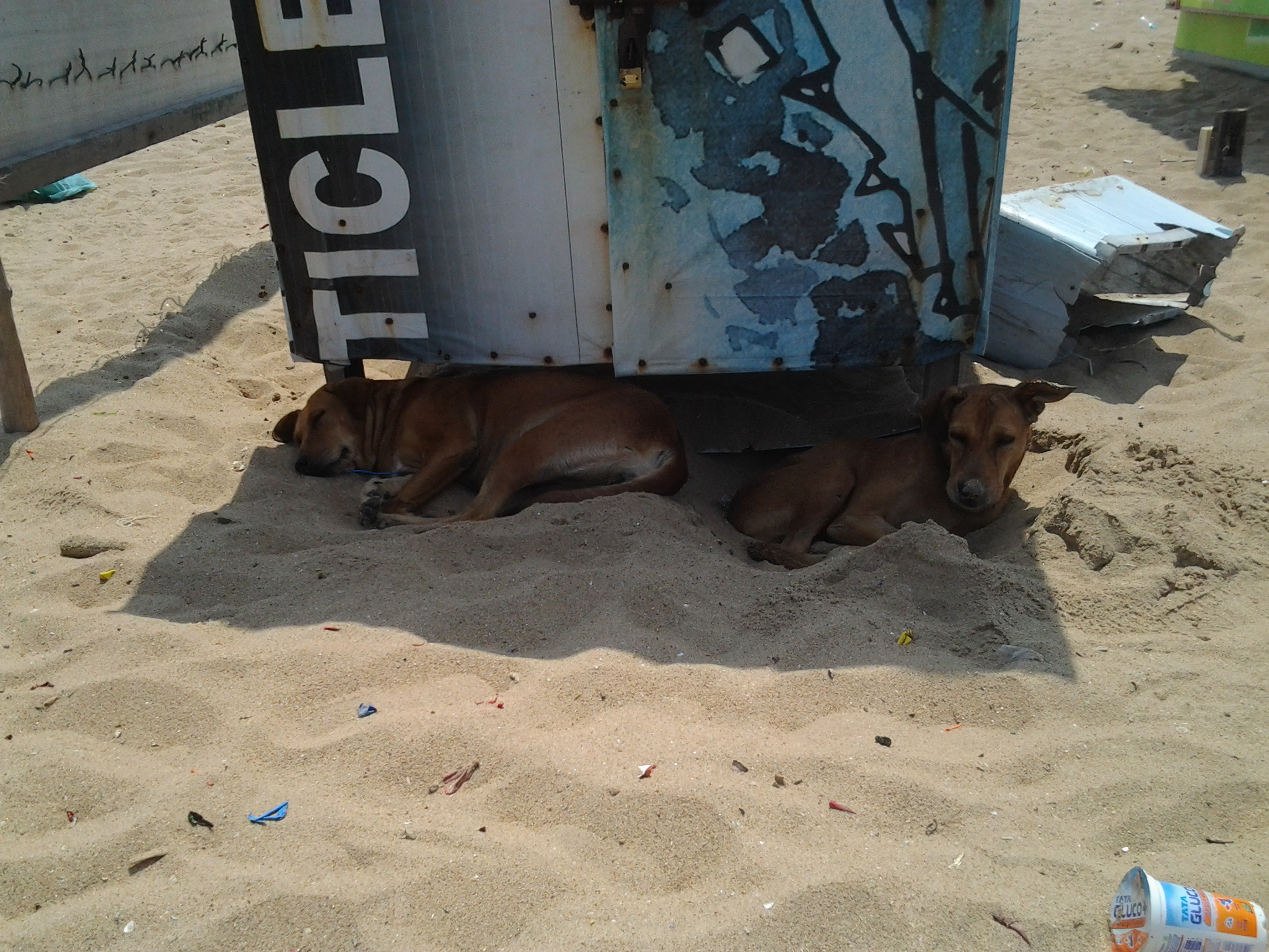 A scene in Chennai, Tamil Nadu, India at Chennai Beach