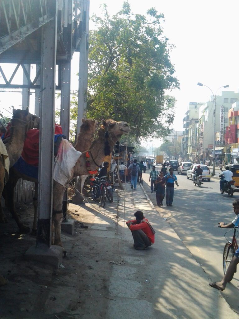 A scene in Chennai, Tamil Nadu, India