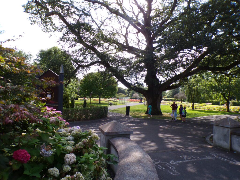 A scene in Tralee (Trá Lí) Town Park