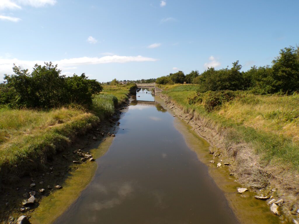 A scene at Tralee Bay Wetlands Ecology & Activity Park (Ionad Bogach Bhá Trá Lí)