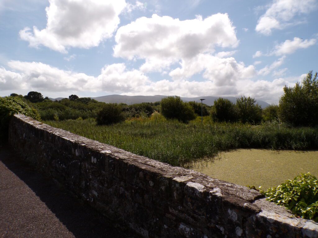 A scene at Tralee Bay Wetlands Ecology & Activity Park (Ionad Bogach Bhá Trá Lí)