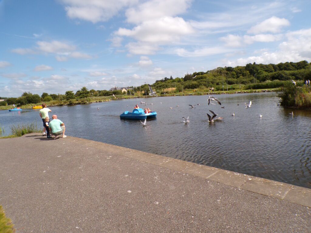 A scene at Tralee Bay Wetlands Ecology & Activity Park (Ionad Bogach Bhá Trá Lí)