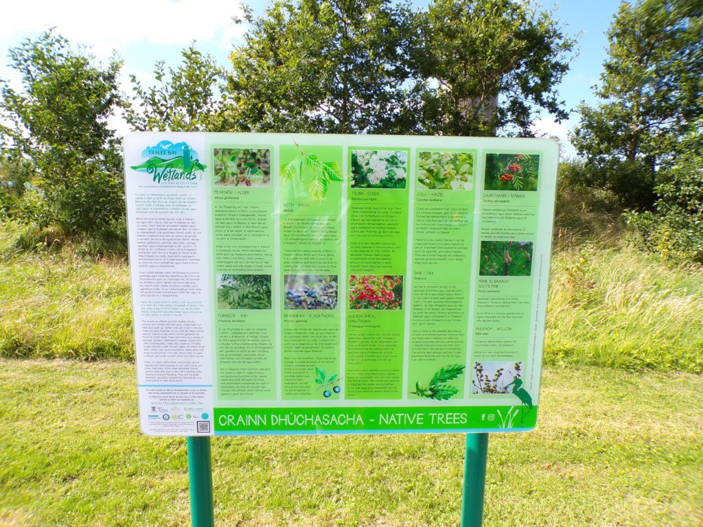 A scene at Tralee Bay Wetlands Ecology & Activity Park (Ionad Bogach Bhá Trá Lí)