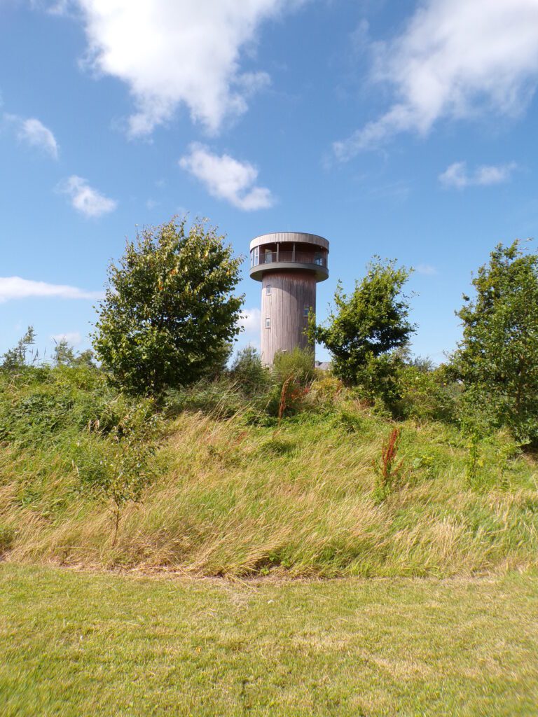 A scene at Tralee Bay Wetlands Ecology & Activity Park (Ionad Bogach Bhá Trá Lí)