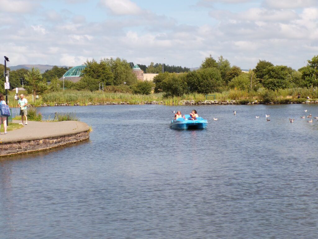 A scene at Tralee Bay Wetlands Ecology & Activity Park (Ionad Bogach Bhá Trá Lí)