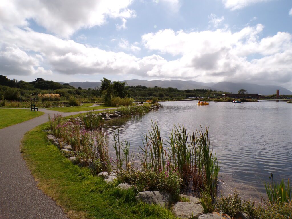 A scene at Tralee Bay Wetlands Ecology & Activity Park (Ionad Bogach Bhá Trá Lí)