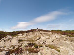 A view along the Howth Cliff Walk