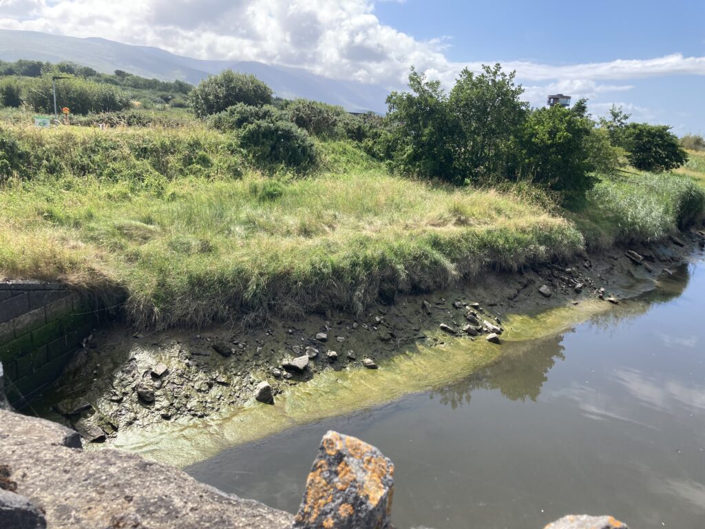 A view near Tralee Canal in County Kerry, Ireland